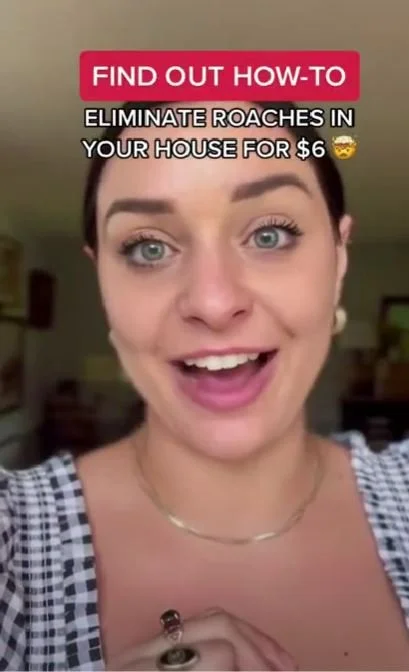 Eliminate Roaches with This Budget Friendly Product!