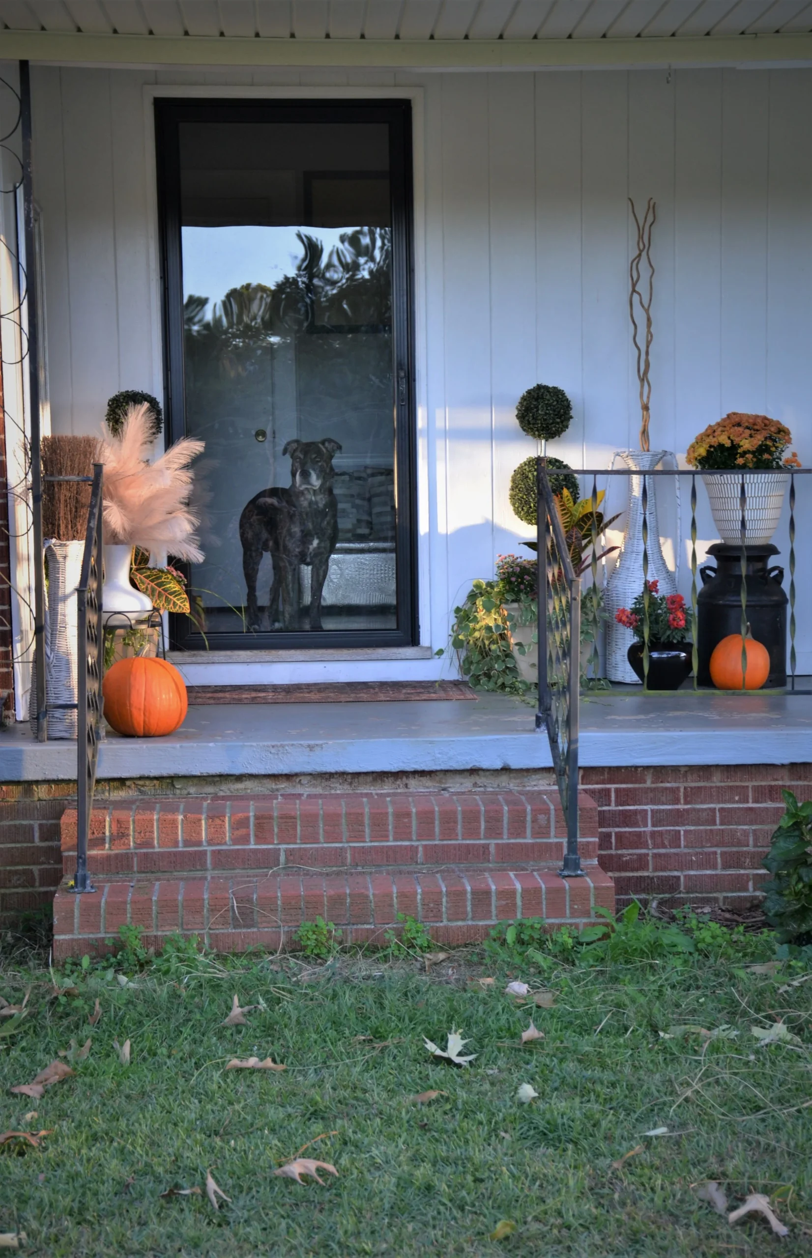 Front Porch Fall Decorating Ideas: Affordable Autumn Inspiration