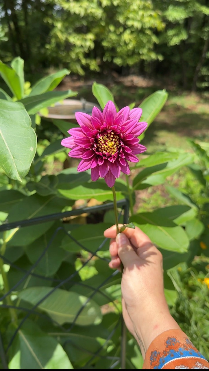 How to Price Cut Flowers: Per Stem and Per Bunch