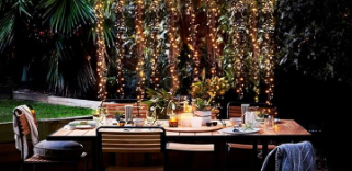 Edison outdoor string lights