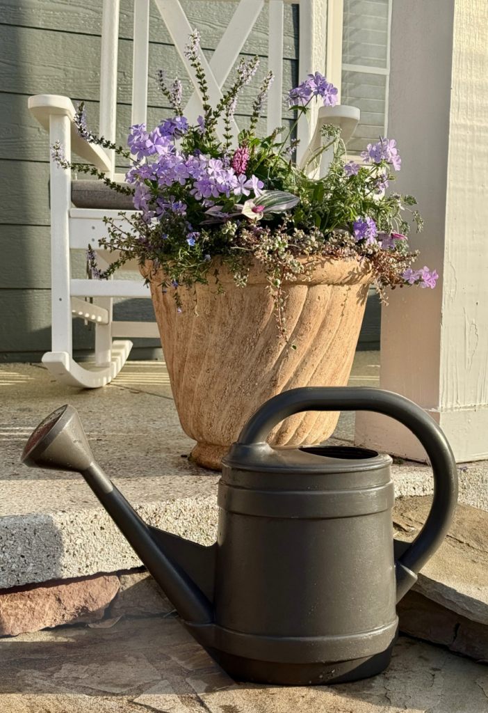 Watering your garden efficiently with a Bloem watering can next to terra cotta pot with purple phlox flowers on front porch steps