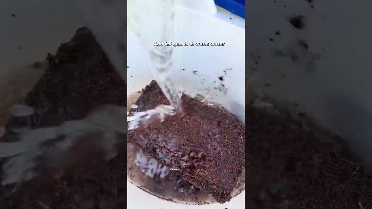 Seed starting mix hack: a compressed coir brick that expands into 16 quarts in 120 seconds