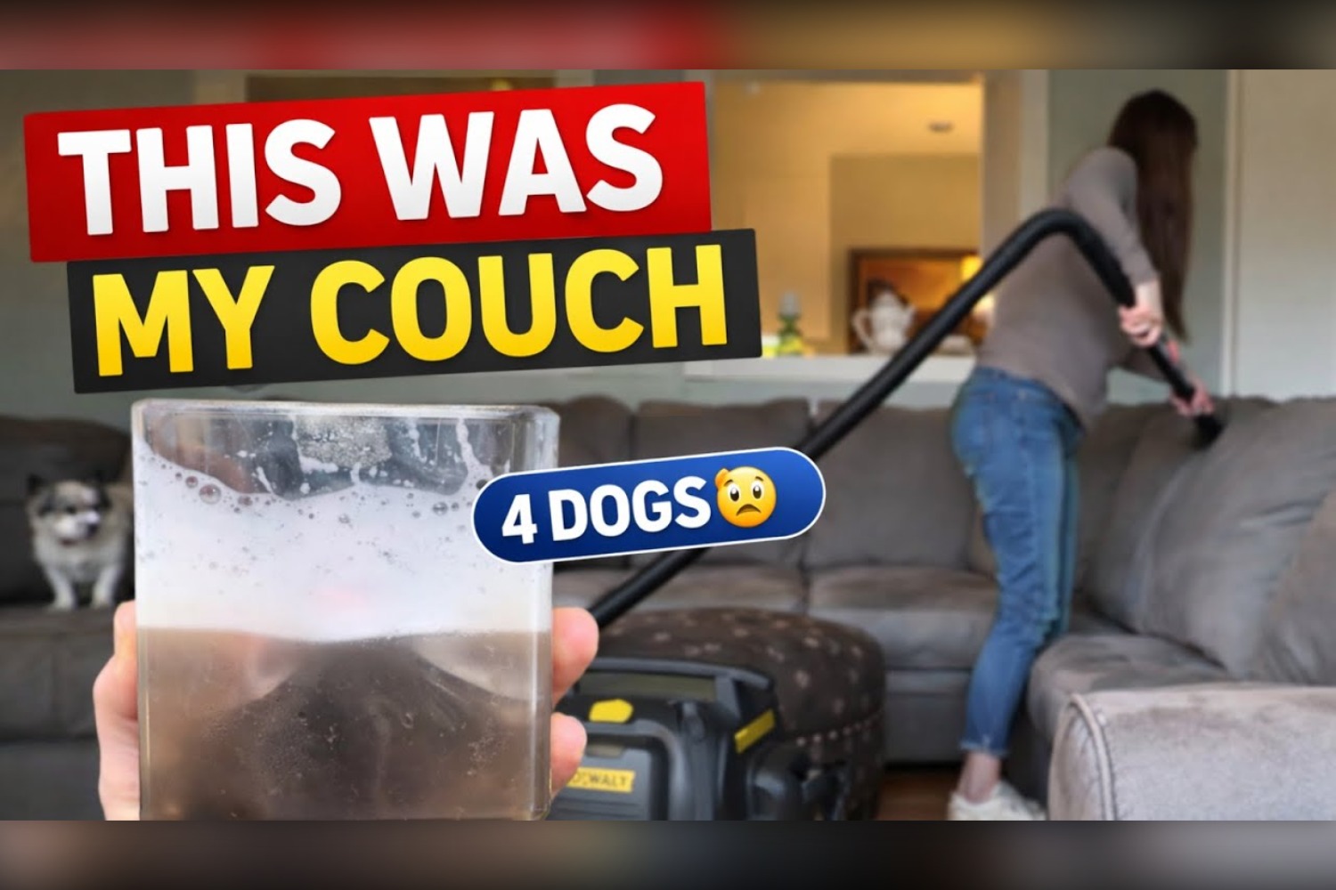 How to deep clean couch with pets using a Bissell Little Green ProHeat