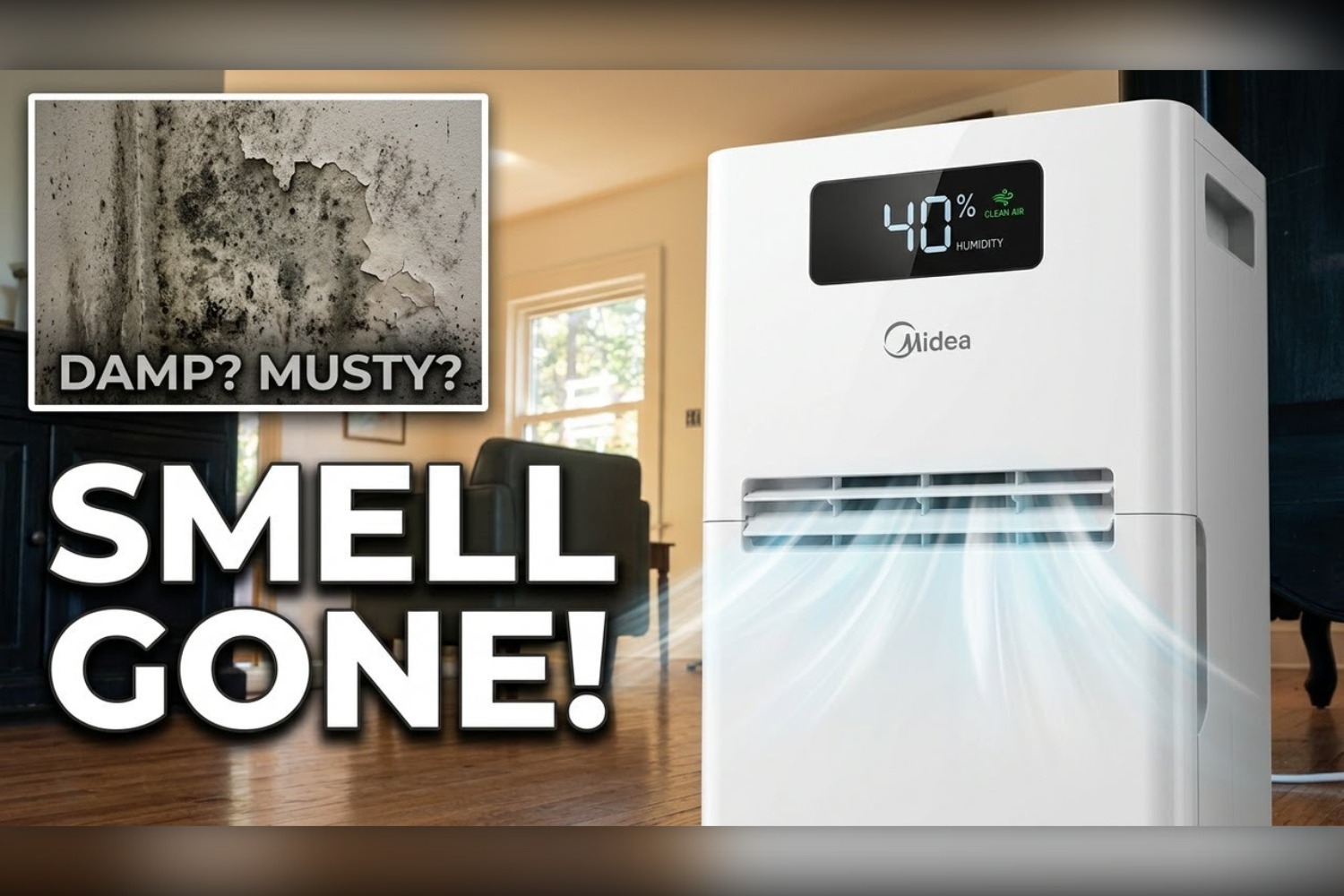 Home Smells Like Mold? 4 Real Causes and a Simple Fix