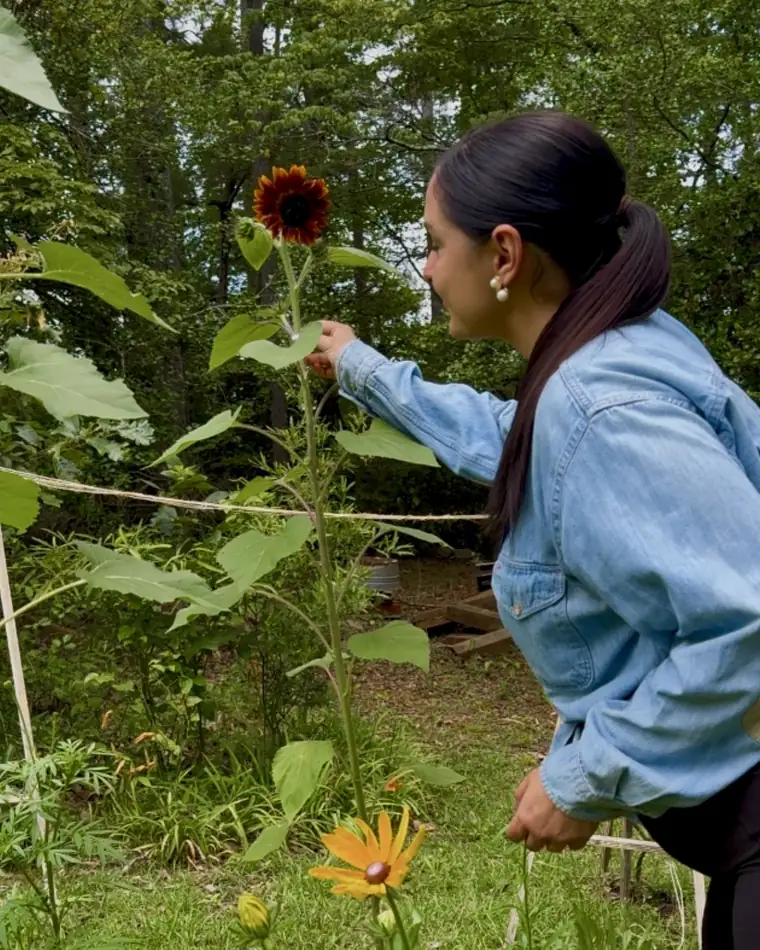 Anna Katherine reaching for a chocolate sunflower in the Cut + Bloom cut flower garden