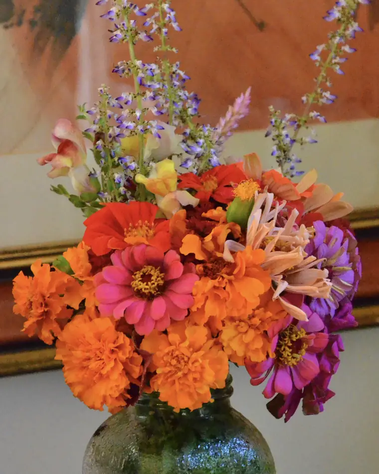 A jar bouquet of zinnias, marigolds, celosia, and salvia grown in the Cut + Bloom garden